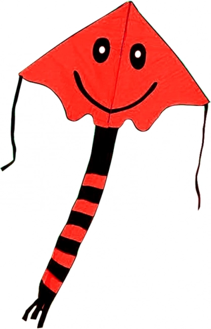 Aquilone sorridente 80 × 60 cm