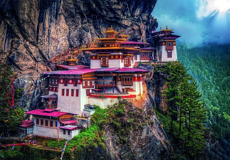 Clementoni puzzle Nido della Tigre 500 pezzi