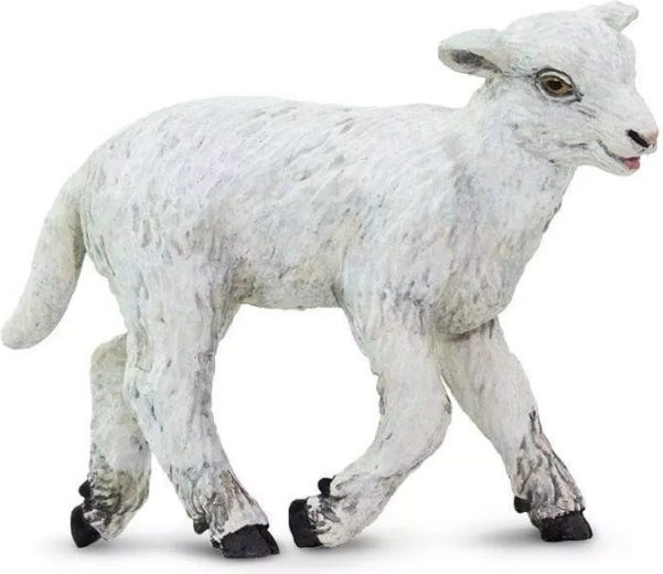 Safari Ltd. statuetta di pecora domestica - 1 pezzo