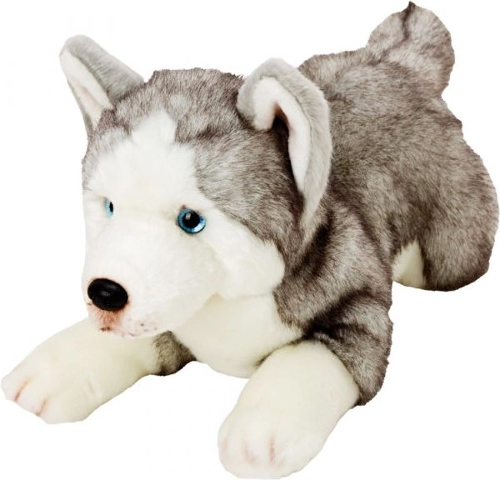 Cane Husky di peluche