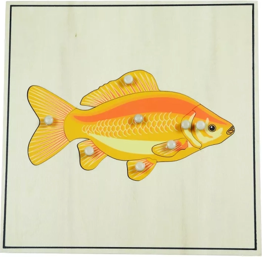 Puzzle con scheletro – pesce
