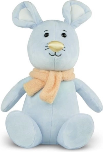 Mascotte Naso Colorato Topo