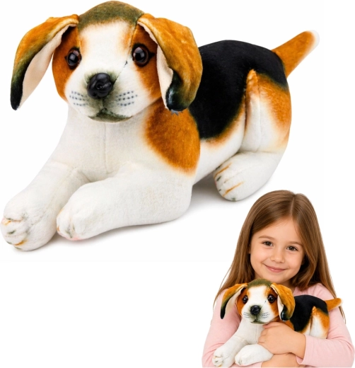 Cagnolino beagle di peluche 25 cm