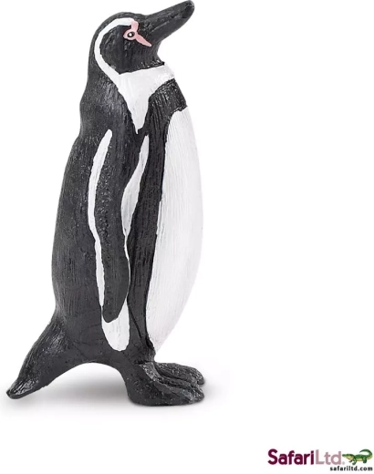 Pinguino di Humboldt