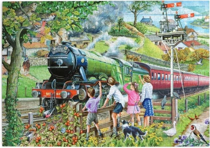 Puzzle House of Puzzles A tutto vapore 1000 pezzi