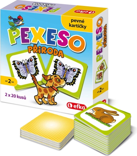 Efko baby memory Mezzi di trasporto