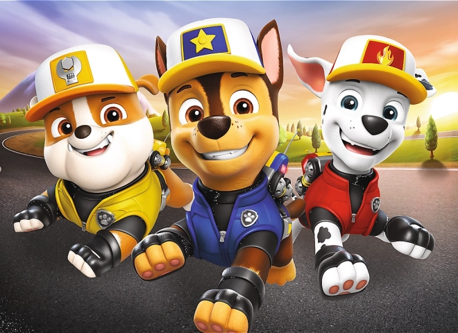Puzzle miniMAXI PAW PATROL 20 pezzi Trefl