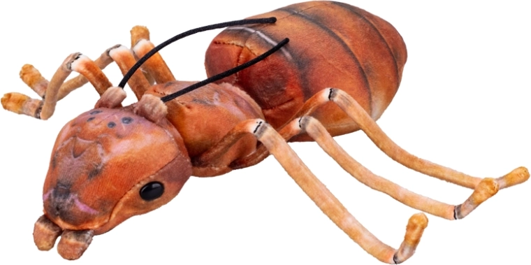 Formica di peluche marrone 20 cm