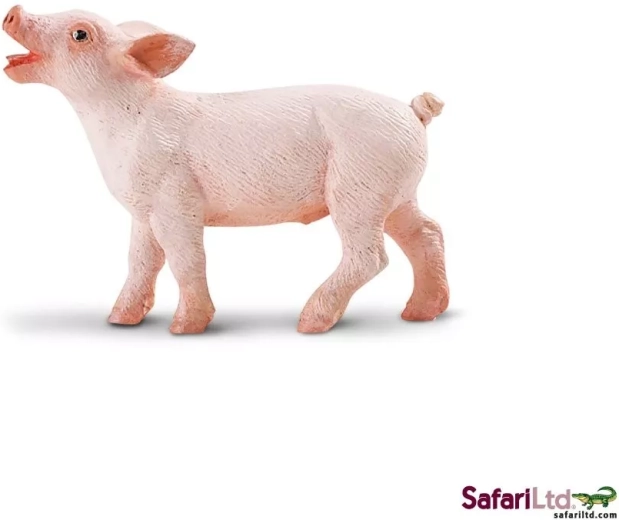Safari Ltd. maialino - 1 pezzo