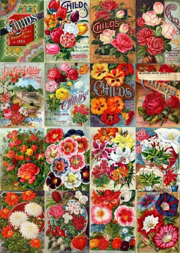 Enjoy puzzle catalogo vintage di semi di fiori 1000 pezzi