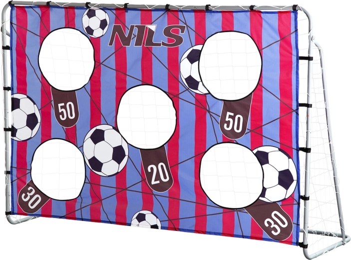 Porta da calcio con pannello di allenamento NILS NT7788