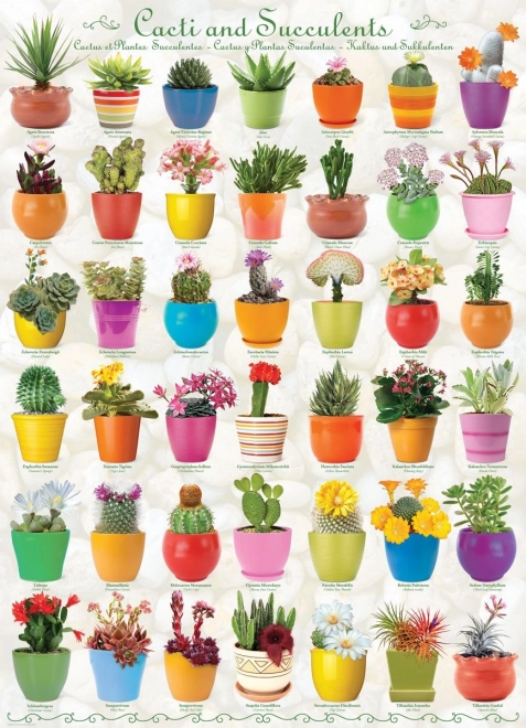 Puzzle EUROGRAPHICS cactus e succulente, 1000 pezzi