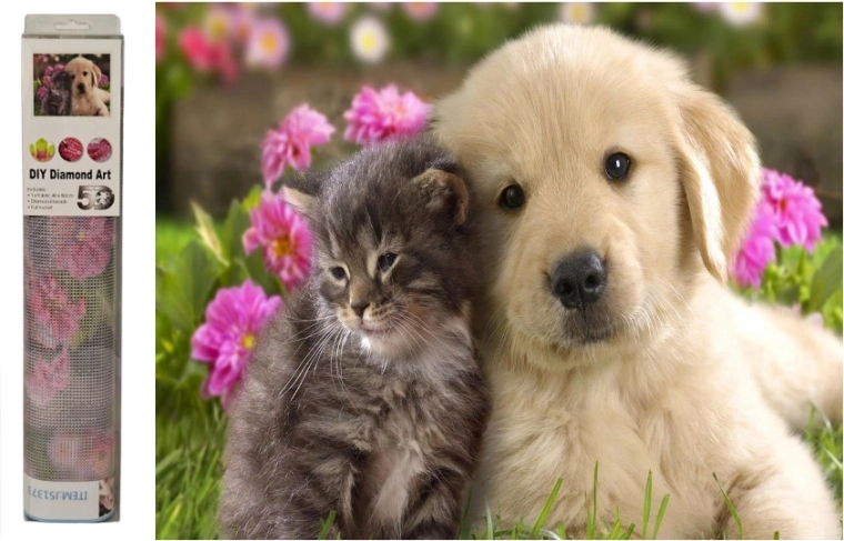 Mosaico di diamanti cane e gatto