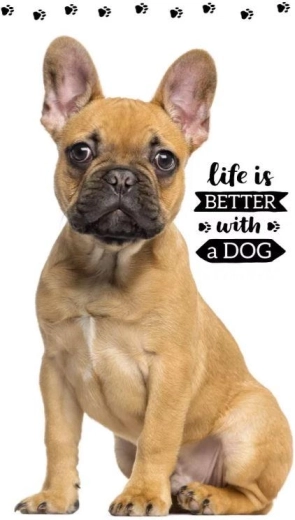 Asciugamano con cagnolino 30 × 50 cm Carbotex
