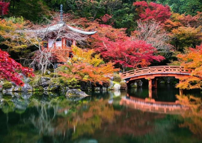 Puzzle 1000 pezzi – giardino Daigo-ji, Kyoto, Giappone
