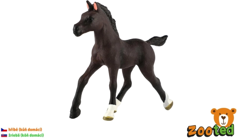 Puledro di cavallo domestico – figurina in plastica 11 cm - 1 pezzo