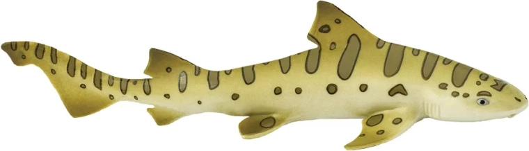 Safari Ltd. Squalo leopardo - 1 pezzo