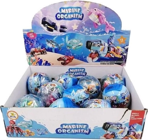 Costruzioni animali marini in sfera trasparente