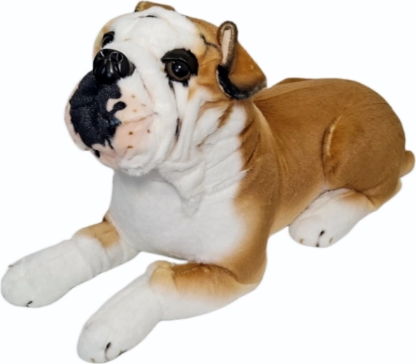 Cane bulldog di peluche - 1 pezzo