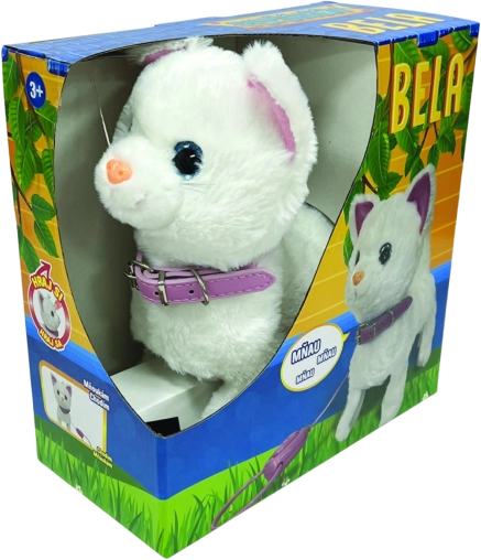 Gatto Bela con comando al guinzaglio