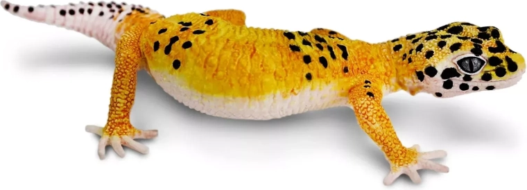 Safari Ltd. figurina di geco leopardo