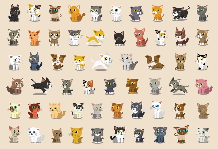 Puzzle con adesivi Gatti 250 pezzi