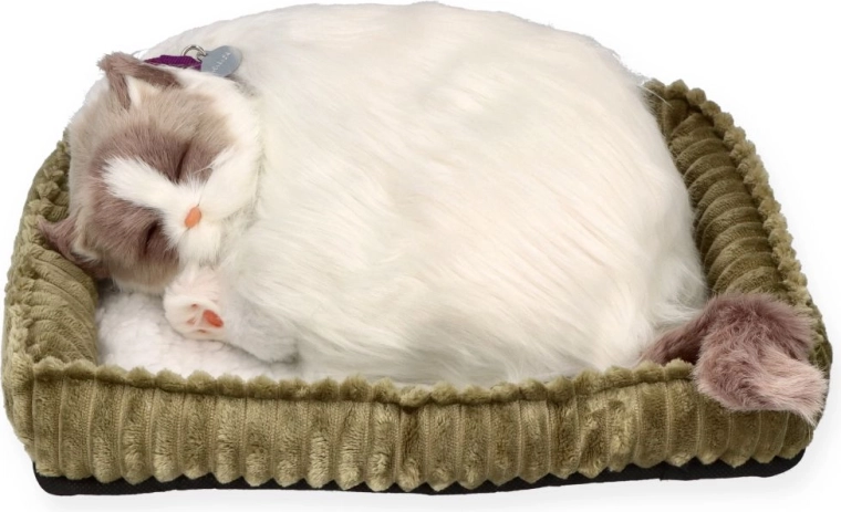 Gattina ragdoll respirante Perfect Petzz