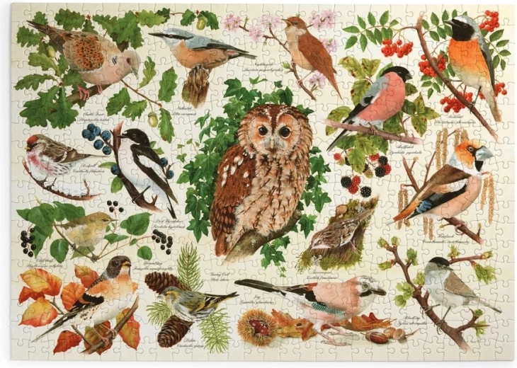 Puzzle Uccelli della foresta, 500 pezzi grandi