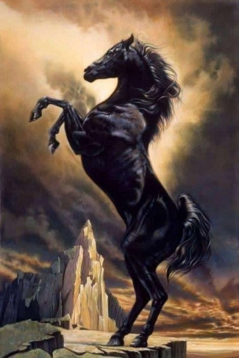 Norimpex pittura con diamanti Cavallo impennato 30 × 40 cm