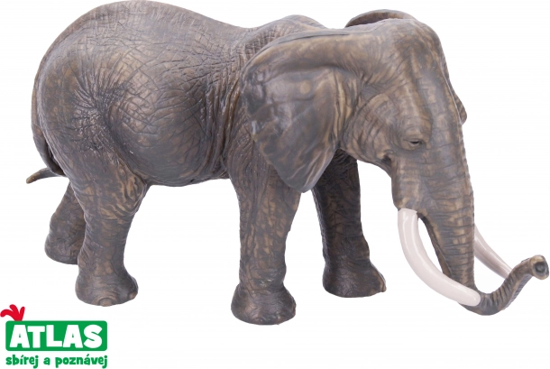 Figura di elefantessa africana