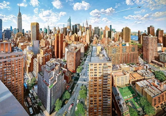 Puzzle Cherry Pazzi Tempi Belli: New York 1000 pezzi