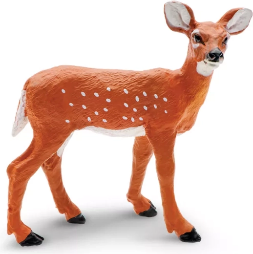 Cerbiatto dalla coda bianca Safari Ltd.