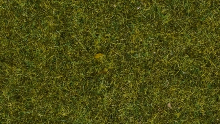 Erba statica Noch prateria selvaggia, 9 mm