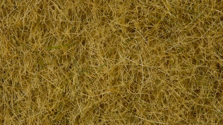 Erba statica secca 6 mm