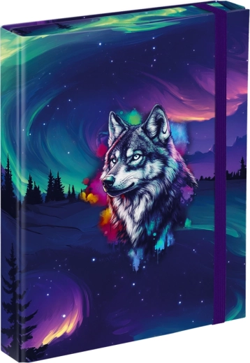 Cartelline per quaderni scolastici A5 Baagl Aurora