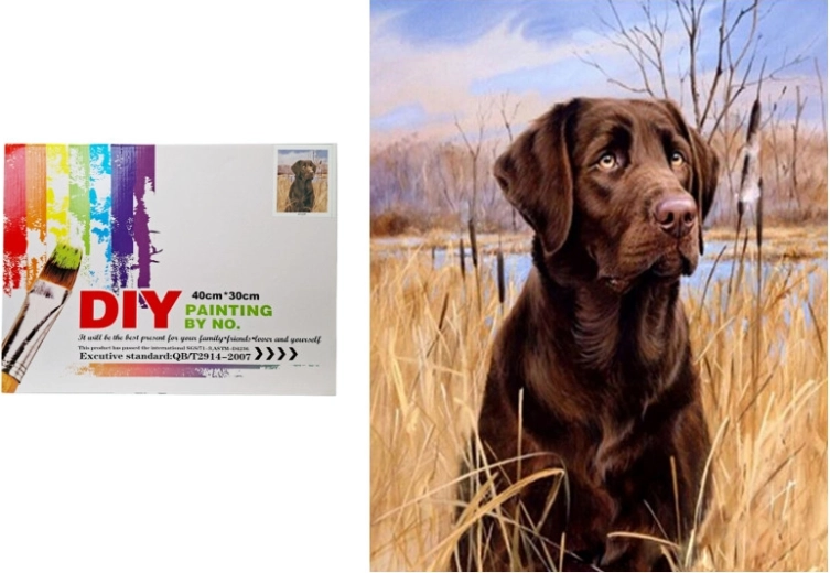 Dipinto per numeri – cane tra le canne