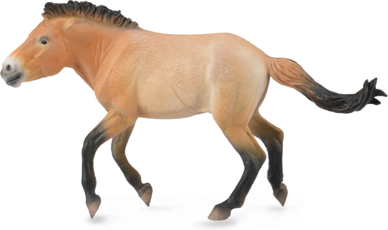 Figura in plastica del cavallo di Przewalski