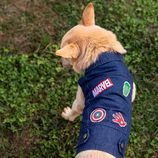 Vestitino in denim Cerda per cane Marvel, taglia S - 1 pezzo