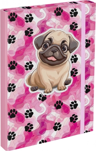 Cartelle per quaderni scolastici Paw Patrol A4