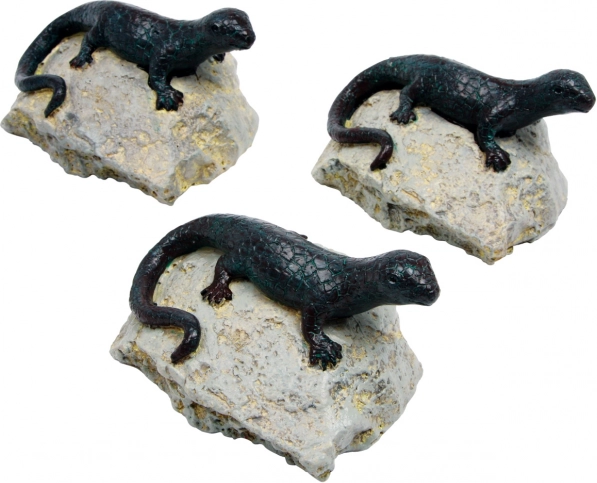 Decorazione lucertola - set di 3 pezzi