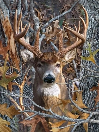 Pittura diamantata – sguardo del cervo 30 × 40 cm