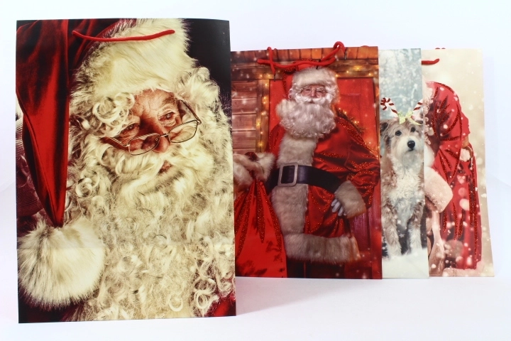Sacchetto regalo per occasioni festive, formato L - 1 pezzo