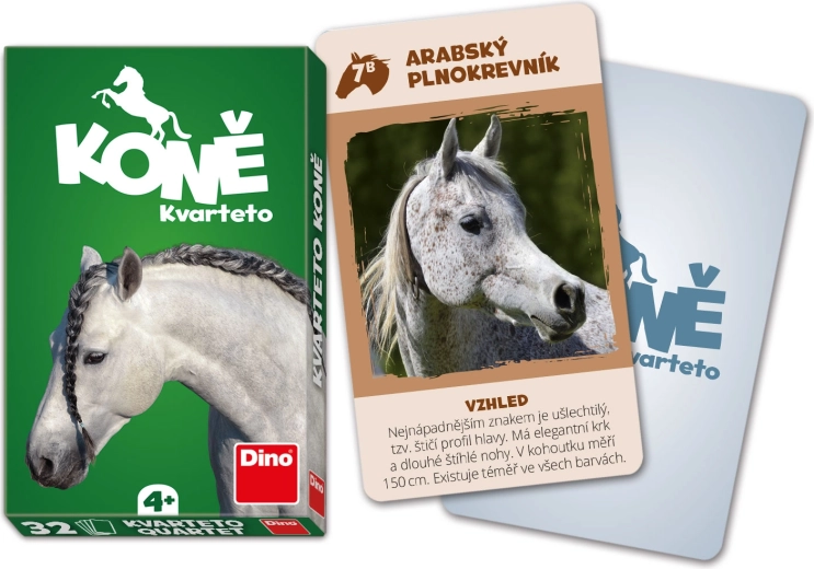 Quartetto Cavalli DINO