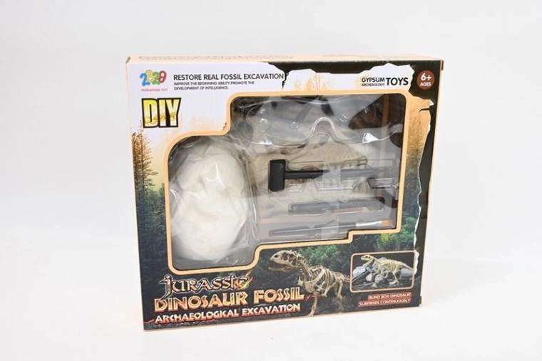 Set archeologico Fossile – scavo di un fossile