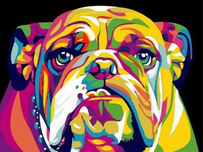NORIMPEX Dipingere con i numeri Bulldog colorato 40 × 50 cm