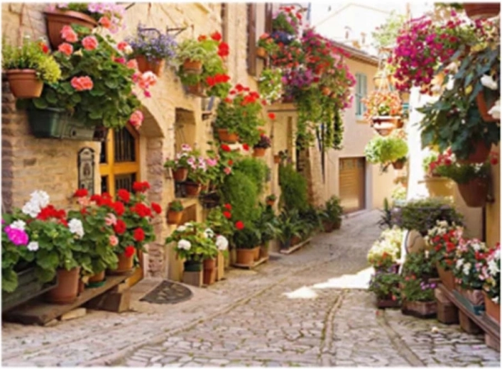 Norimpex pittura con diamanti Via italiana con fiori 30 × 40 cm