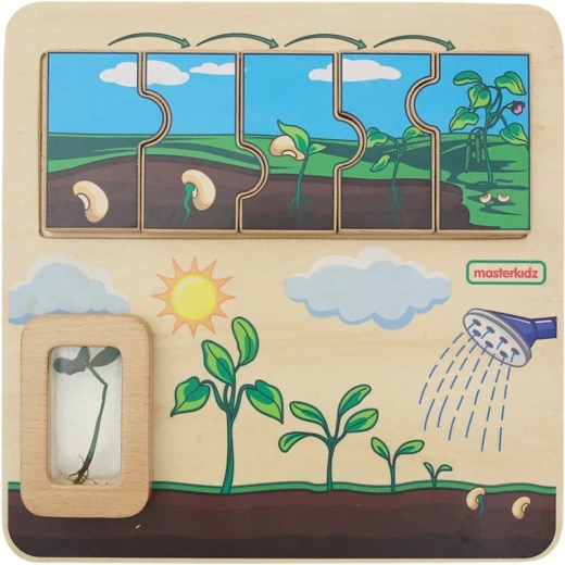 Tavola educativa in legno Masterkidz – ciclo di vita del fagiolo