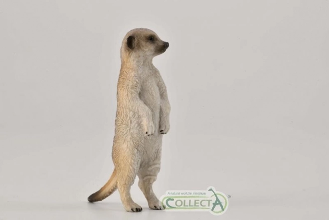 Collecta suricata in piedi figurina