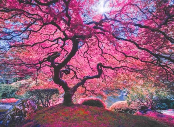 Puzzle Albero rosa 1000 pezzi