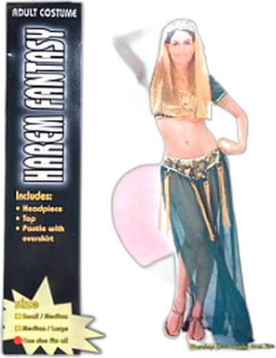 Costume da danzatrice dell’harem per adulti - 1 pezzo